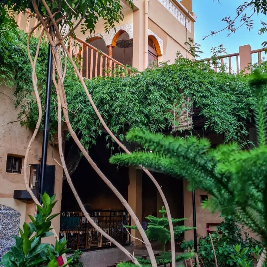 Oasis De Tiout Appartement Buitenkant foto