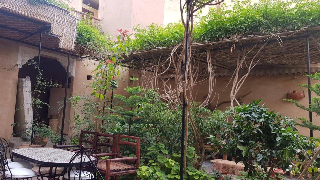 Oasis De Tiout Appartement Kamer foto