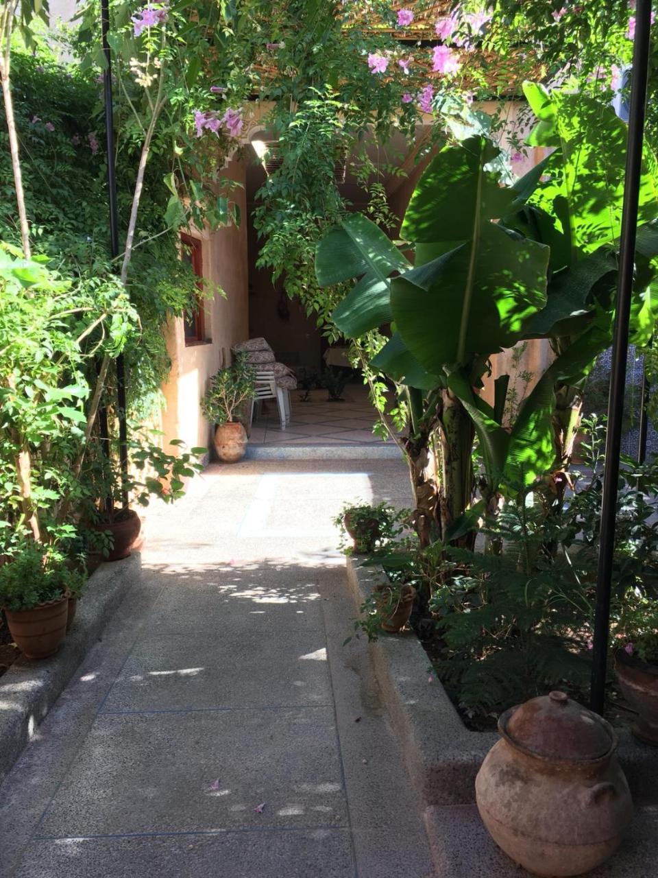 Oasis De Tiout Appartement Buitenkant foto